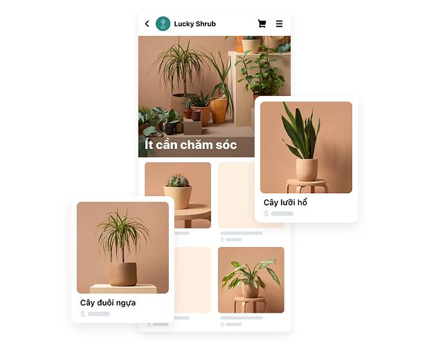 Tìm hiểu & phân tích