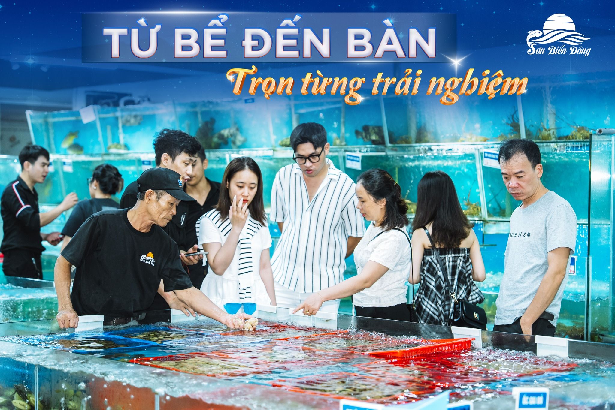 Dự án TikTok Ads Sơn Biển Đông