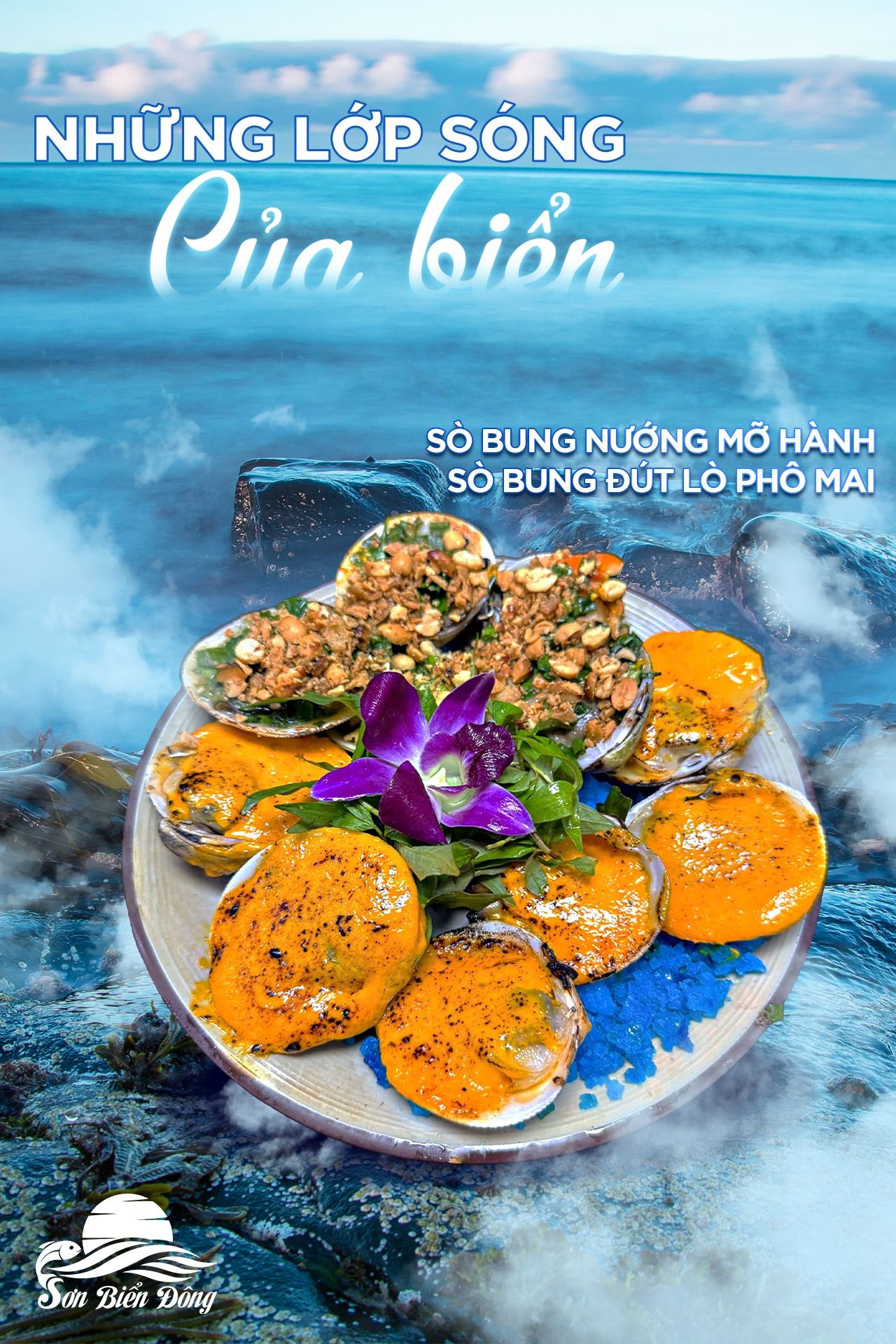 Dự án TikTok Ads Sơn Biển Đông